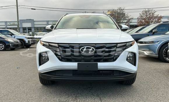 Buy Used Hyundai Tucson White Car in Suva in Central Buy Used Hyundai Tucson White Car in Suva in Central
