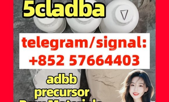 Medium with watermark 5cc3