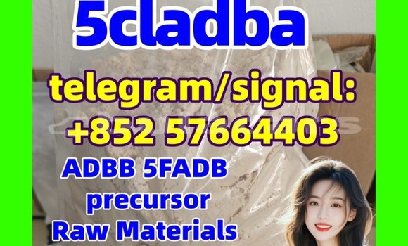 Medium with watermark 51