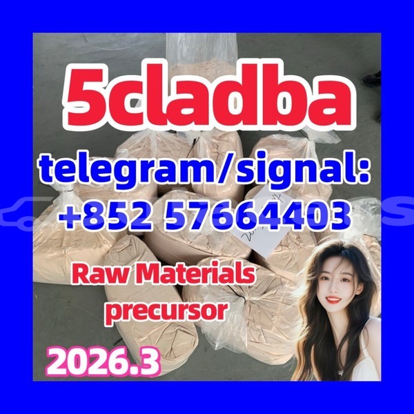 Big with watermark 555