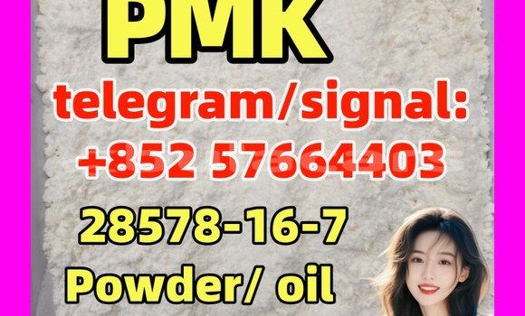 Medium with watermark bp5