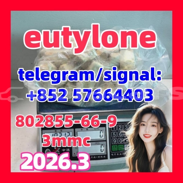 Big with watermark eu3