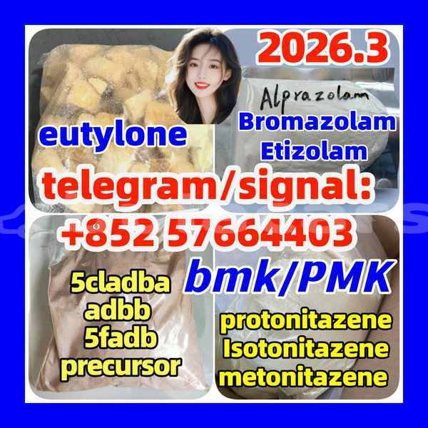 Big with watermark z5