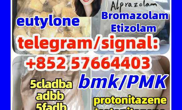 Medium with watermark z5