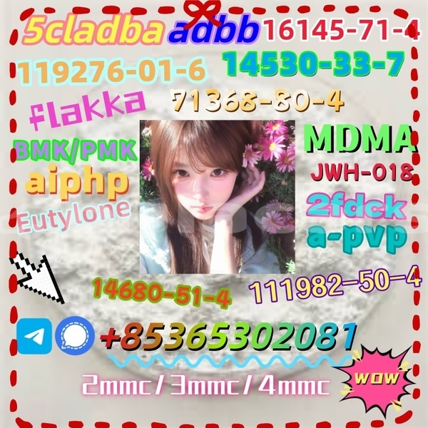 Big with watermark 1 8