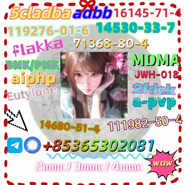 Big with watermark 1 10