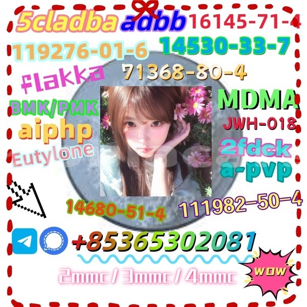 Big with watermark 1 11