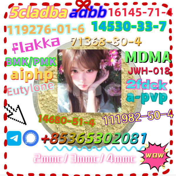 Big with watermark 9