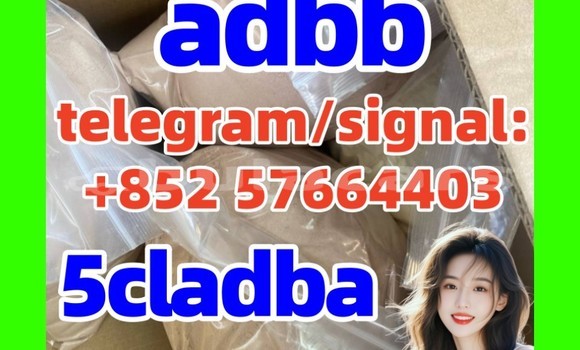 Acheter raw 5cl-adb-a raw materia à Import - Dubai, Central Acheter raw 5cl-adb-a raw materia à Import - Dubai, Central