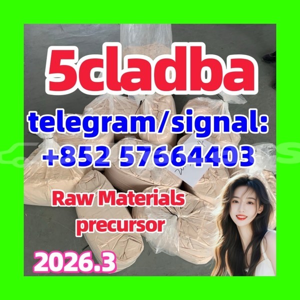 Big with watermark 551