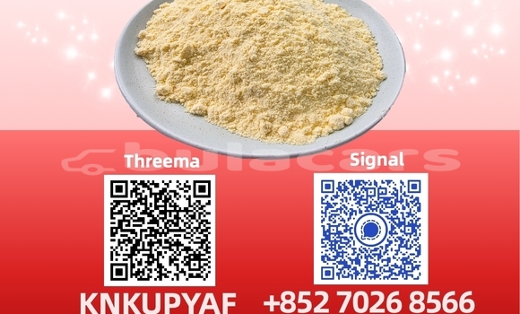 Medium with watermark 49