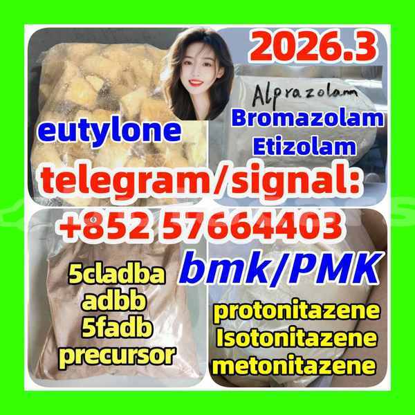 Big with watermark z1