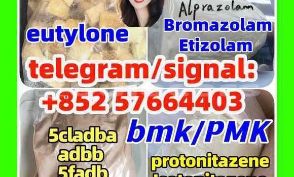 Medium with watermark z1