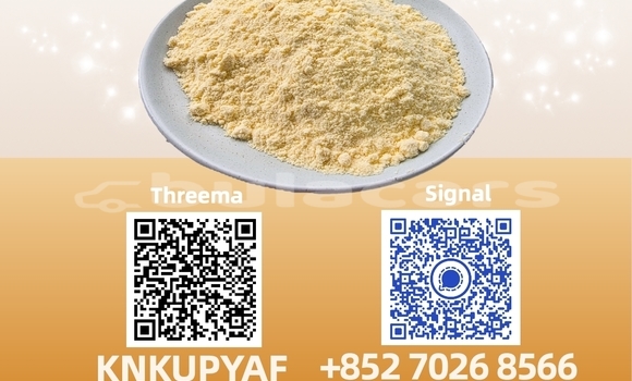 Medium with watermark 51