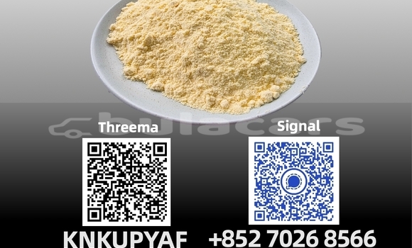 Medium with watermark 52