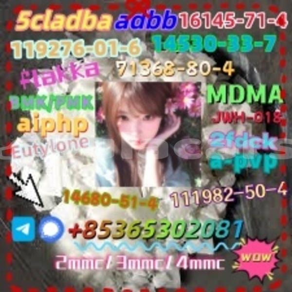 Big with watermark 1 5