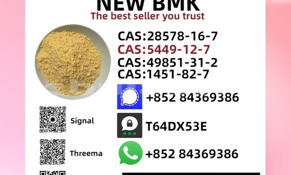 Buy New Bedford CFS Brown Car in Import - Dubai in Central