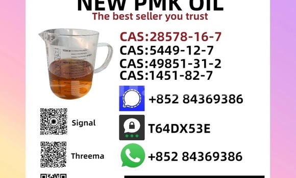 Buy New Bugatti EB Veyron 16.4 Brown Car in Nasoki in Eastern