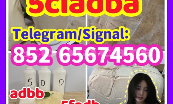 Buy Predám supply EU, in Korokade in Northern Buy Predám supply EU, in Korokade in Northern