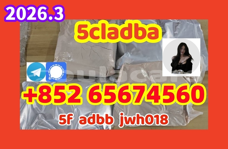 Big with watermark 155cl %e5%89%af%e6%9c%ac