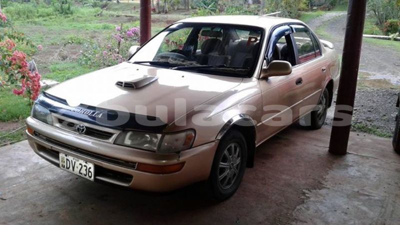 Big with watermark 43253579 1275993085876706 7143459953976541184 n