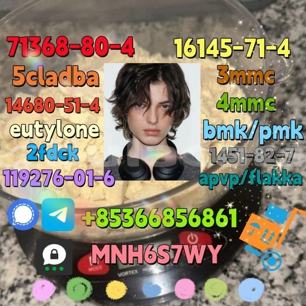 Big with watermark 1 1 