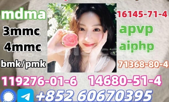  Bmk and Pmk low price