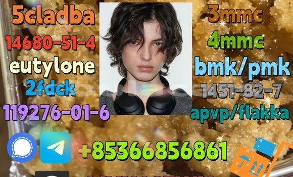 Medium with watermark 1 13 