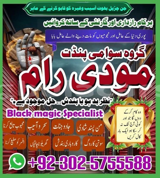 Big with watermark amc hornet central import dubai 12026