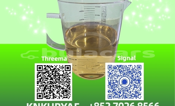 Medium with watermark 51