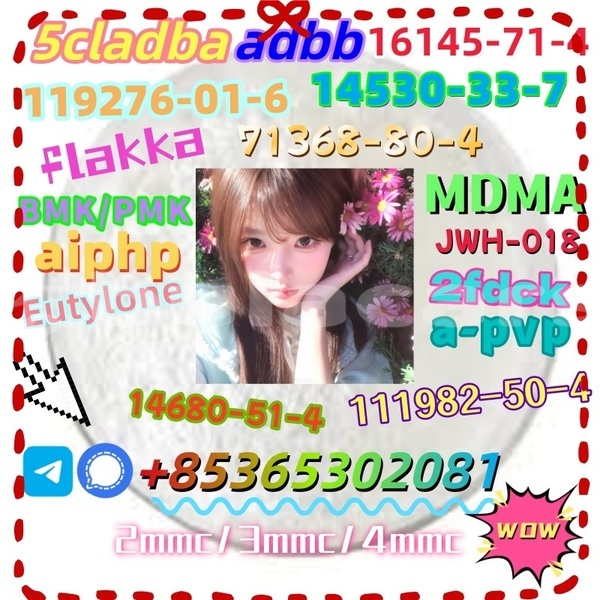 Big with watermark 1 9 