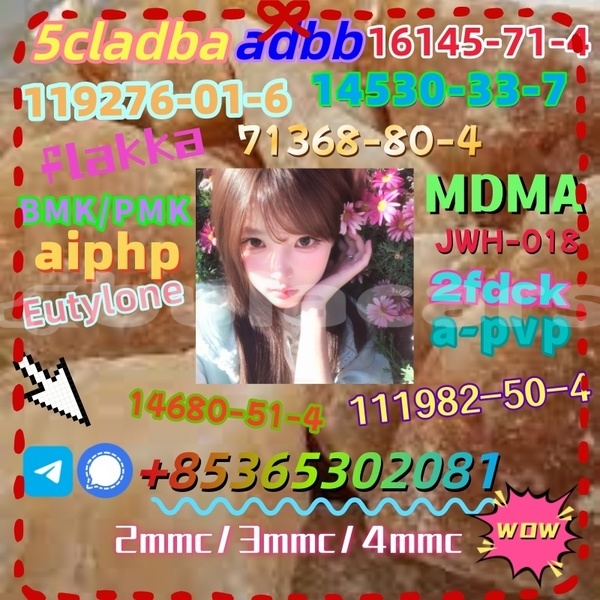 Big with watermark images 17 