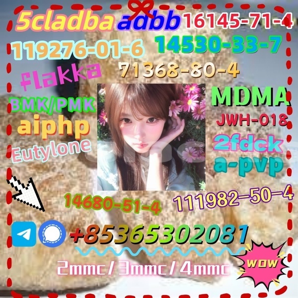 Big with watermark images 18 