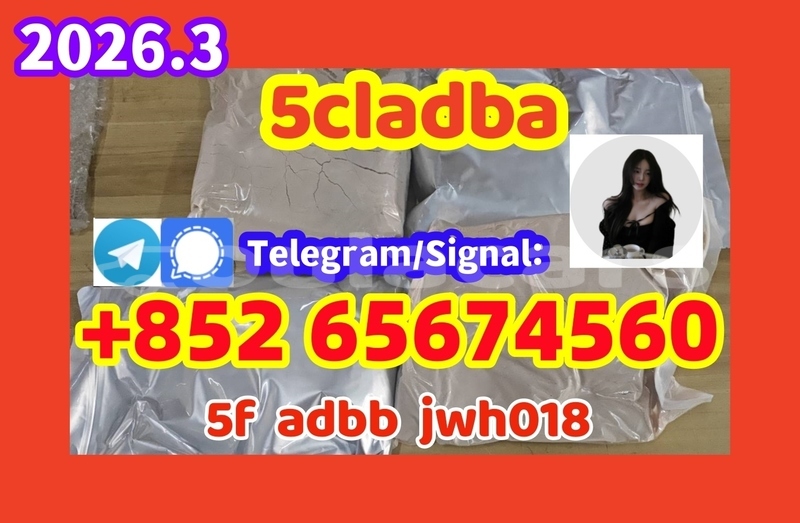 Big with watermark 155cl %e5%89%af%e6%9c%ac