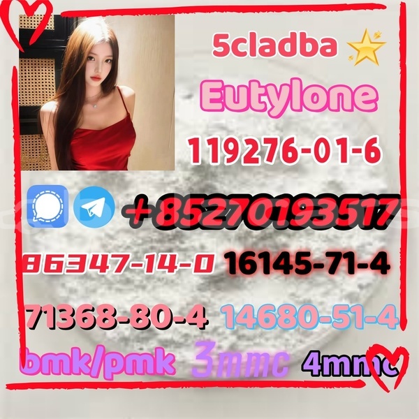 Big with watermark 1 8 