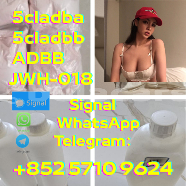 Big with watermark adler trumpf junior central korovou 12113