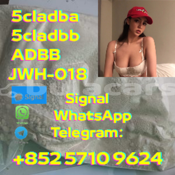 Big with watermark adler trumpf junior central korovou 12113