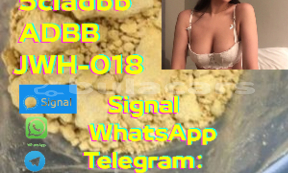 Buy New Aermacchi RC 125 Black Bike in Labasa in Northern Buy New Aermacchi RC 125 Black Bike in Labasa in Northern