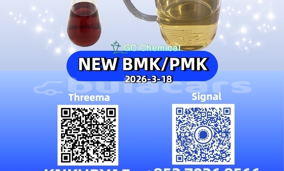 Medium with watermark 37