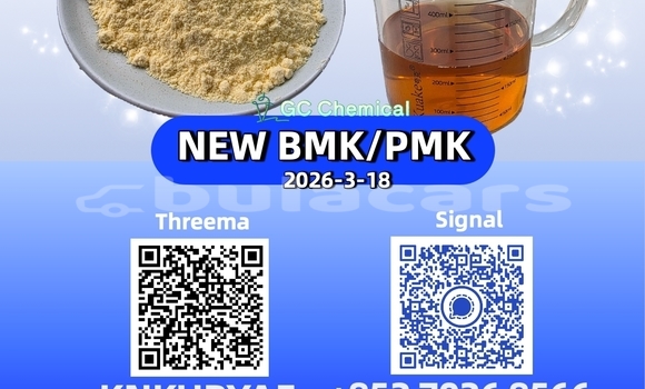 Medium with watermark 38