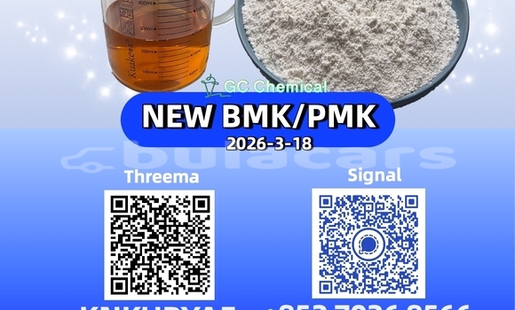 Medium with watermark 40