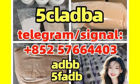 Medium with watermark 5c2