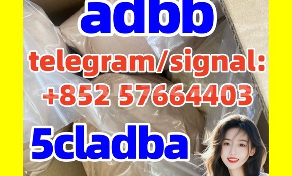 Medium with watermark 5cl2