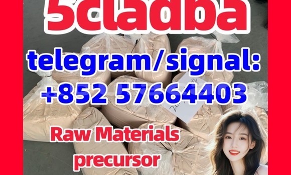 Medium with watermark 553