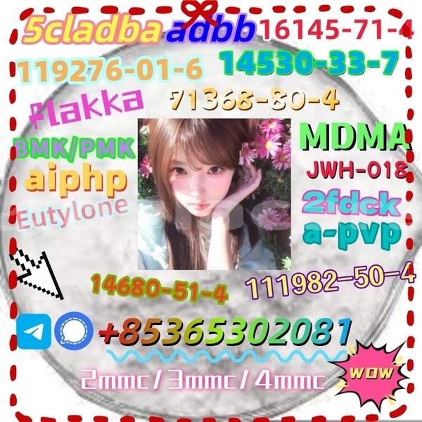 Big with watermark 1 12 