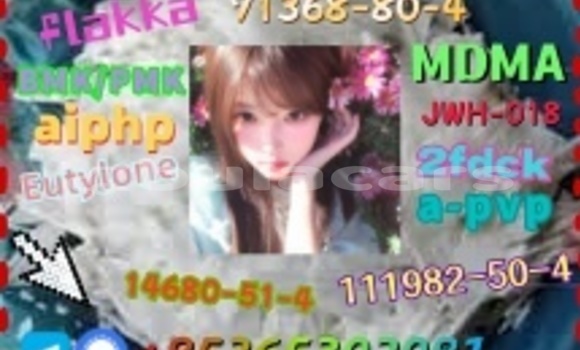 Medium with watermark 1 8 