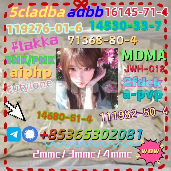 Big with watermark photo 6192803247366981100 x