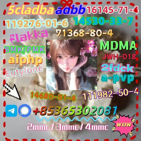 Big with watermark photo 6192803247366981102 x