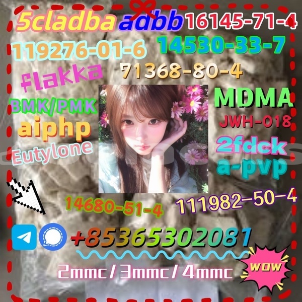 Big with watermark photo 6192803247366981103 x