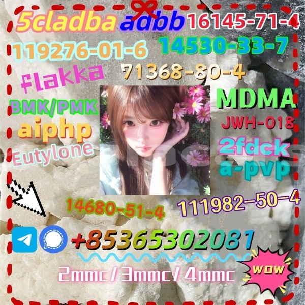 Big with watermark photo 6192803247366981104 x